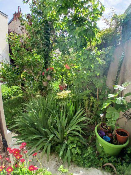 Appart Rez De Jardin Dijon Kültér fotó